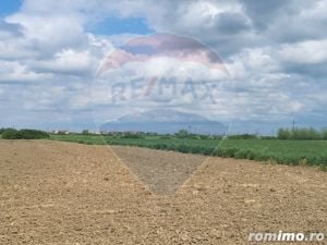 Teren agricol 7200 mp Arad Zona Micalaca spre Mures - imagine 6