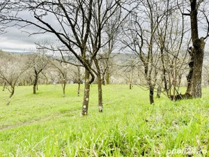 Vând teren intravilan zona de munte superba!  - imagine 4