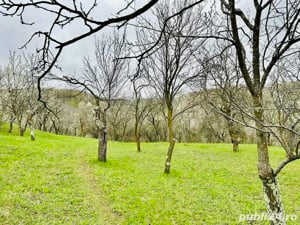 Vând teren intravilan zona de munte superba!  - imagine 5