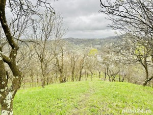 Vând teren intravilan zona de munte superba!  - imagine 6