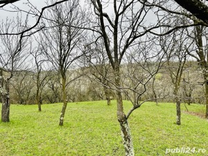 Vând teren intravilan zona de munte superba!  - imagine 2