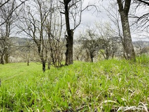 Vând teren intravilan zona de munte superba!  - imagine 8