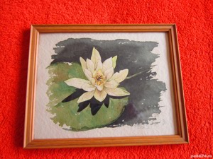 tablou Floare de Lotus Nufar acuarela semnat anii'50 rama lemn Olanda
