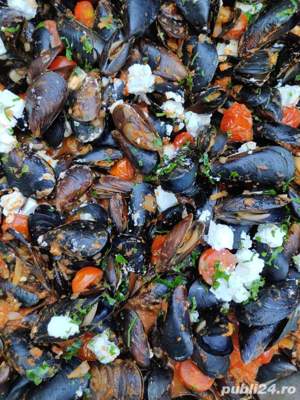 Bucătar Șef - imagine 5