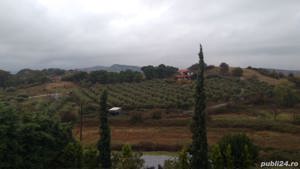 Ulei masline extra virgin brut cu pulpa manastiresc - imagine 2