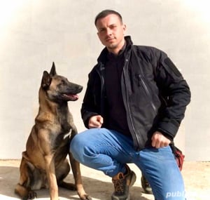 Dresaj canin in Mun. Vaslui   Câinii lui Ștefan - imagine 6