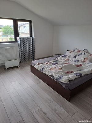 Vidra, Cretesti, vila P+1, 5 camere, 4.500 mp teren - imagine 9