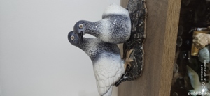 Colecție Figurine ceramică vechi