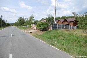 Casa de Vacanta + casa de locuit in Cotmeana, Arges - imagine 2