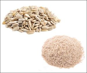 1Kg Faina Fara Gluden!  de floarea soarelui = 15lei   Oferta: 5kg =60lei 