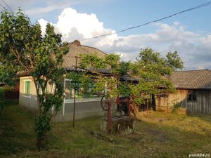 Casa pe 40 arii de teren in loc.Trestia la 26km de Baia Mare - imagine 4