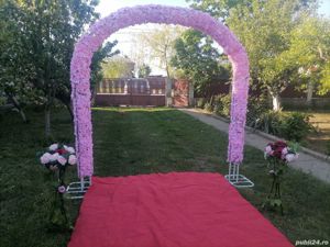 Arcada, Covor Rosu, Stalpi Alexandria, Teleorman - imagine 9