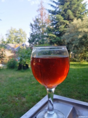 Vand vin rosu producator