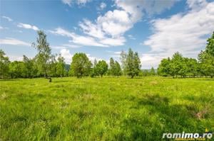 Film! In cadru natural impresionat, 14.000mp, cu destinatie agroturistica, Sinca Noua, Brasov - imagine 6