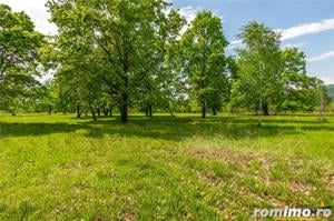 Film! In cadru natural impresionat, 14.000mp, cu destinatie agroturistica, Sinca Noua, Brasov - imagine 4