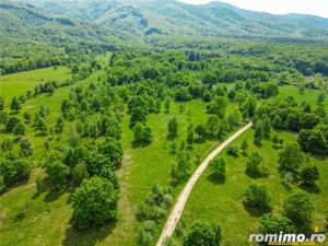 Film! In cadru natural impresionat, 14.000mp, cu destinatie agroturistica, Sinca Noua, Brasov - imagine 5