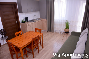 Apartament regim hotelier Timisoara - imagine 8