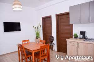 Apartament regim hotelier Timisoara - imagine 10