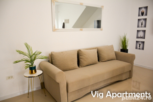 Apartament regim hotelier Timisoara - imagine 9