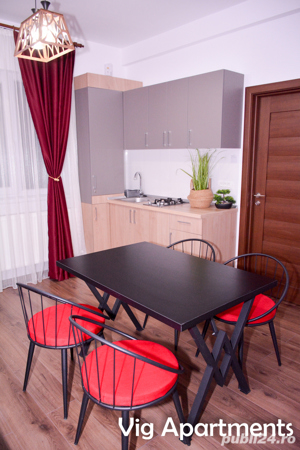 Apartament regim hotelier Timisoara - imagine 9