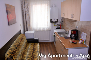 Apartament regim hotelier Timisoara - imagine 6