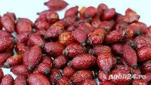 Macese uscate,deshidratate natural la soare,fara conservanti,aditivi,etc. 39 lei/kg