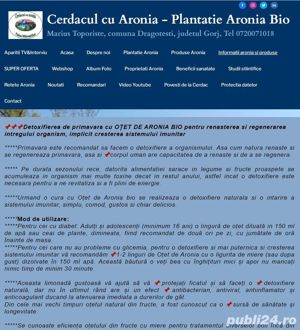 Produse din Aronia Bio: Tinctura, Otet, Dulceata, Sirop, Concentrat - Plantatie jud. Gorj - imagine 9