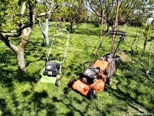 Taiem iarba rapid si ieftin 