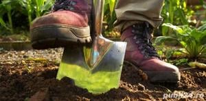 Defrișare, curățare teren. - imagine 4