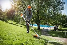 Curățare teren  curte