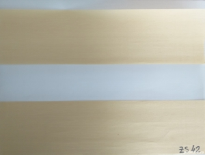 Rolete Zi Noapte Bej Din Matase Zebra Decor La Comanda ZS-42