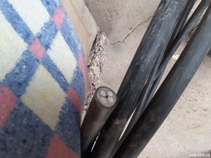 Vand 7 m  cablu elecric trifazic 4 ori  25 mm nou - imagine 3