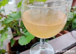 Vin de casa! Vin de țară