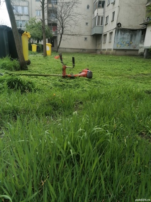 Tund orice suprafata iarba tufișuri  gazon