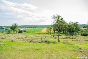 Vand casa cu teren agricol comuna spineni sat cuza voda jud.olt