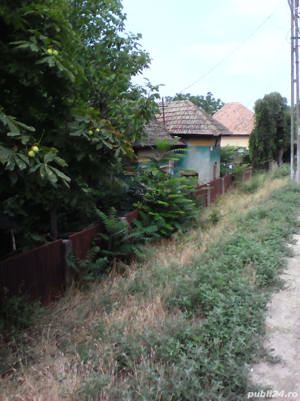 Casa de vinzare cu curte in comuna Ianca loc Potelu - imagine 3