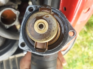 termostat de racire  - imagine 3