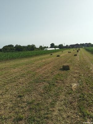 Vand sau schimb presă Welger ap61 - imagine 5