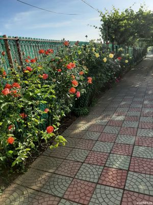 Vând casa în Corbu Constanta - imagine 10