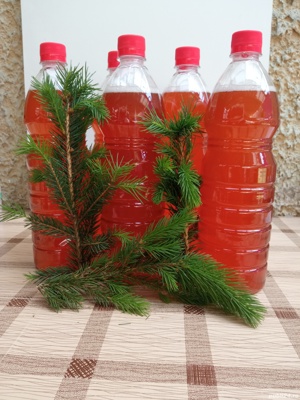 sirop din muguri de brad  - imagine 2