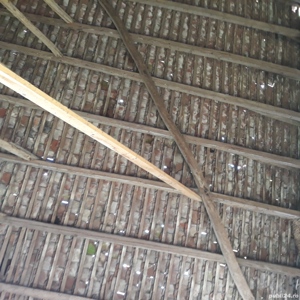 vand sura de peste 100 ani - imagine 3