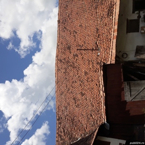 vand sura de peste 100 ani - imagine 4