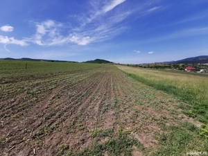 Teren intravilan de vânzare, zona stadion Moinești-Poduri, 5000 mp jud Bacău. - imagine 3