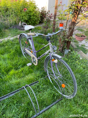 Bicileta Dame Vintage