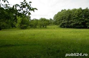 Vând 3000 mp și 7000 mp teren lângă pădure, drum asfaltat, utilități. Sau parcelă 600mp la 10000 EUR - imagine 4