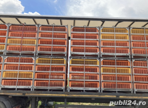 Container metalic transport pasări EGEA. - imagine 4