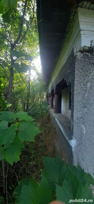 Teren si casa batraneasca in Mircea Voda. - imagine 7