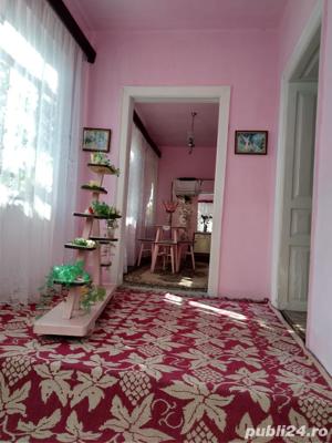 Vand casa cu gradina in Buhani, jud,Arad - imagine 5