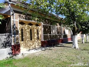 Vand casa cu gradina in Buhani, jud,Arad - imagine 10