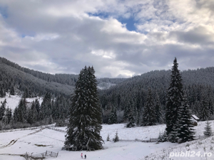 Parcele teren munte padure Panaci Vatra Dornei - imagine 6